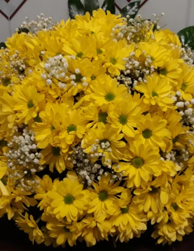 kytice střední chryzantémy